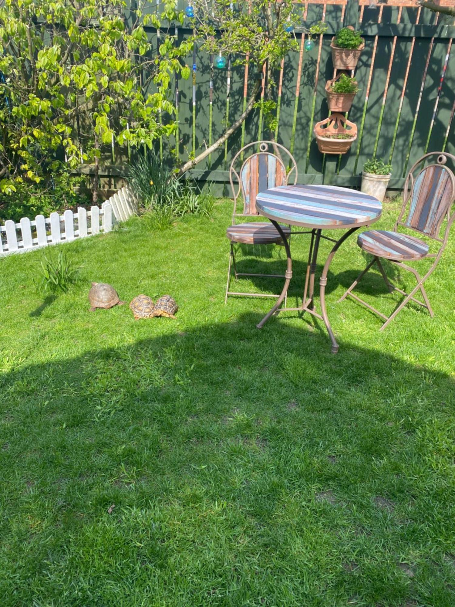 Chez Little Black Cat Patrington Bagian luar foto